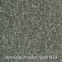 Robusta Project-SDN 474